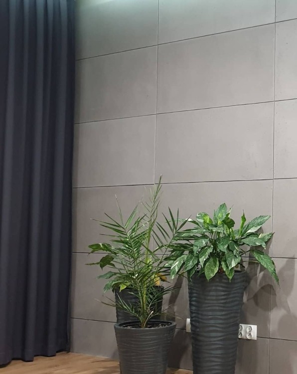 Ciemny beton architektoniczny DekorioArt – nowoczesne wnętrze z roślinami i płytami ściennymi.jpg